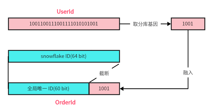 基因法生成 OrderId