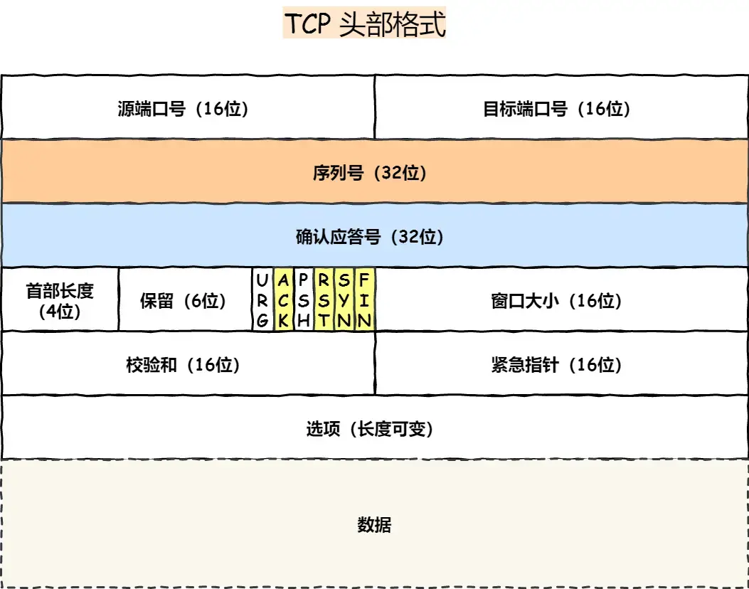 TCP 头部格式